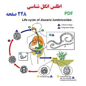 اطلس انگل شناسی