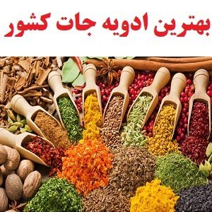بهترین ادویه جات فروشی کشور