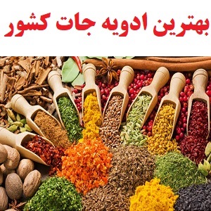 بهترین ادویه جات فروشی کشور